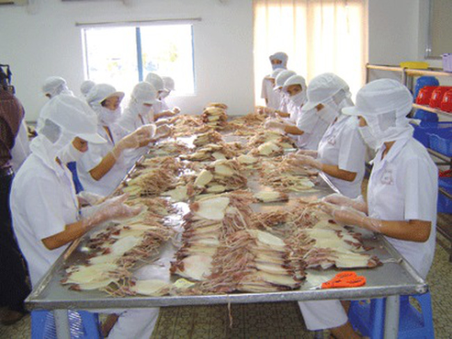 Xuất khẩu mực, bạch tuộc của Việt Nam trong tháng 8 tiếp tục giảm nhẹ - Hình 1
