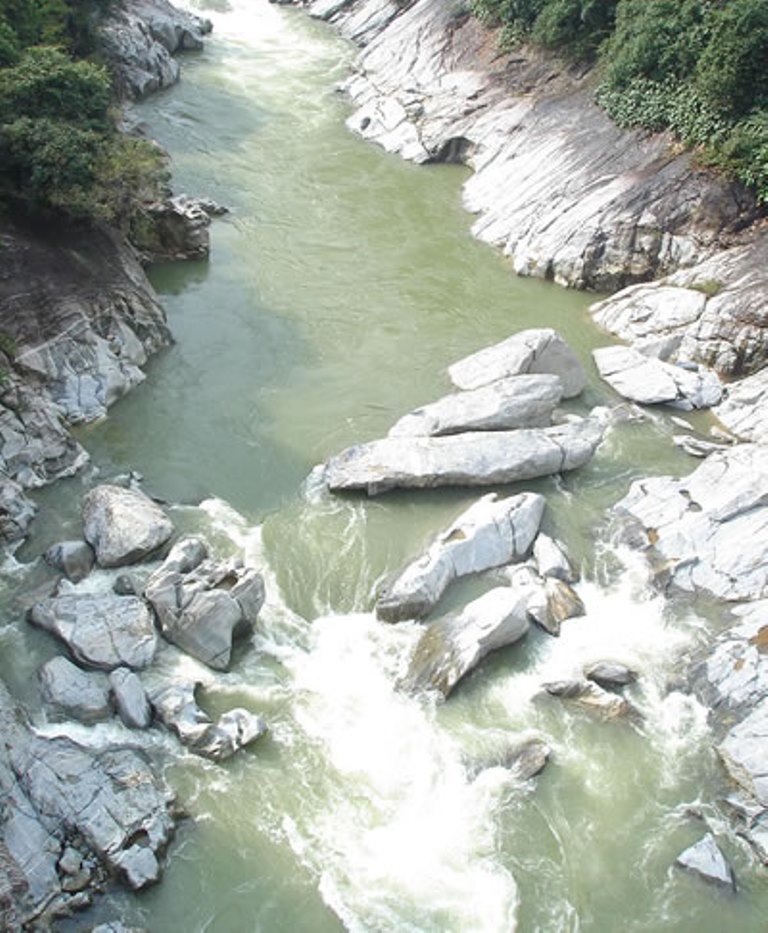 Quảng Nam: Tạo giống và nuôi thương phẩm cá niên - Hình 1