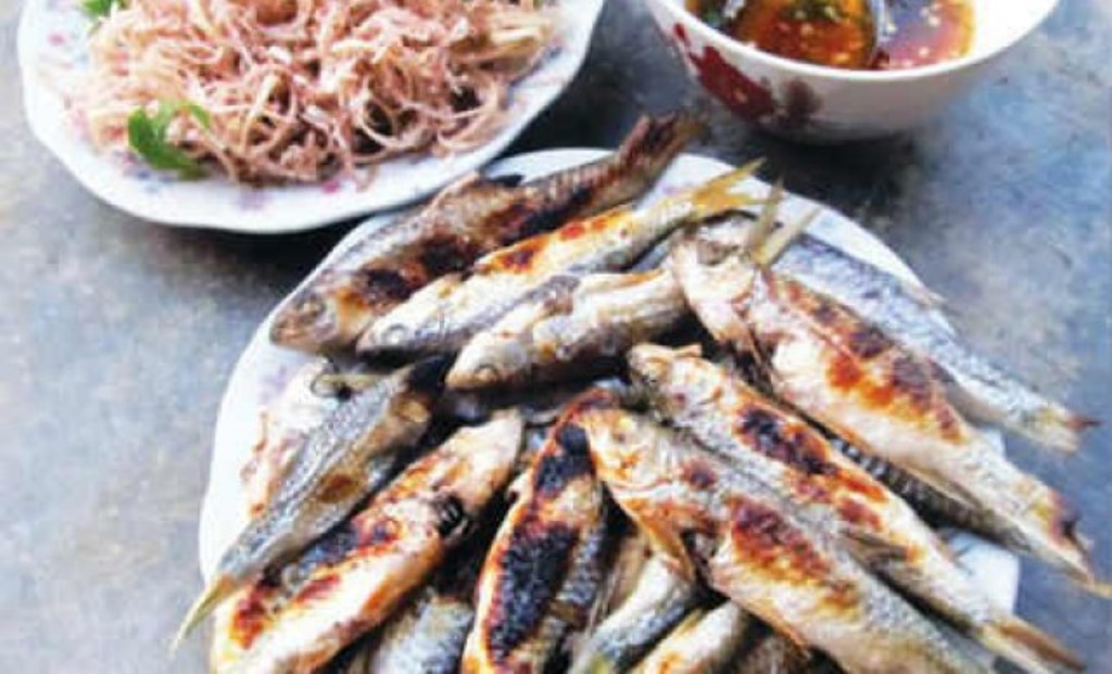 Quảng Nam: Tạo giống và nuôi thương phẩm cá niên