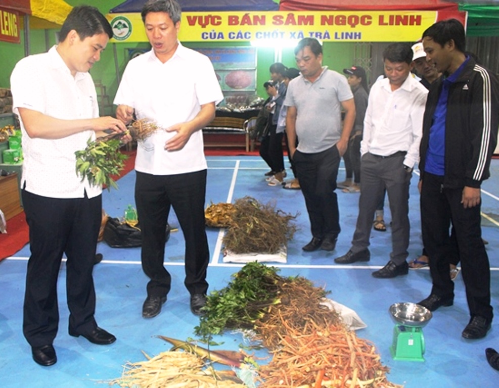 Quảng Nam: Thu về hơn 4,2 tỷ đồng từ phiên chợ sâm Ngọc Linh lần thứ 13-2018 - Hình 2