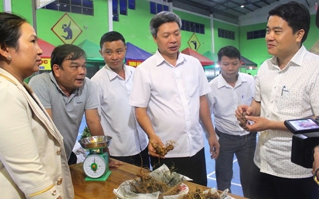 Quảng Nam: Thu về hơn 4,2 tỷ đồng từ phiên chợ sâm Ngọc Linh lần thứ 13-2018 - Hình 1
