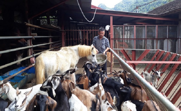 Giải báo chí toàn quốc Tự hào Nông dân Việt Nam 2018-2019 sẽ diễn ra vào ngày mai