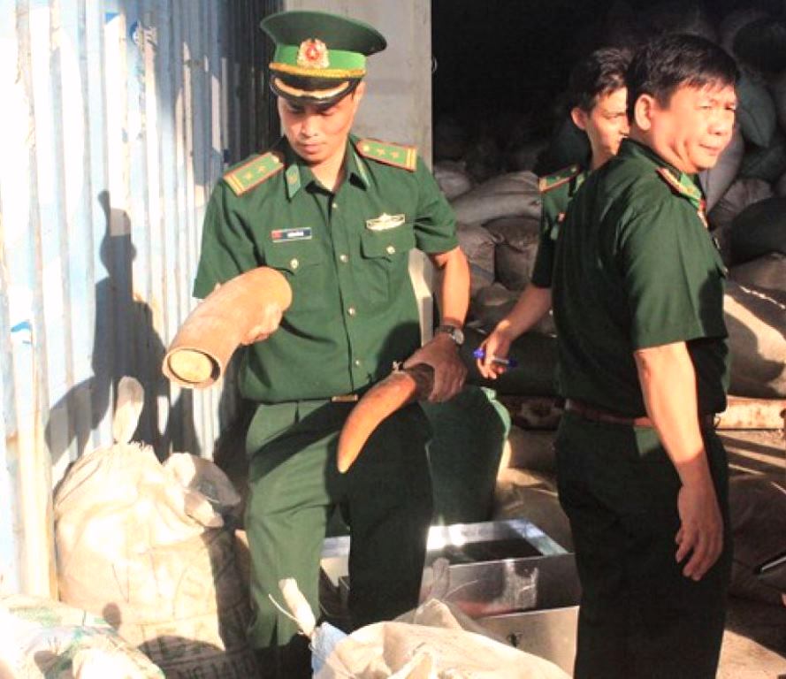 Đà Nẵng: Triệt phá đường dây vận chuyển 10 tấn ngà voi, vẩy tê tê