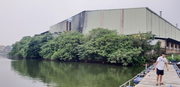 Vi phạm môi trường vẫn tự do hoạt động