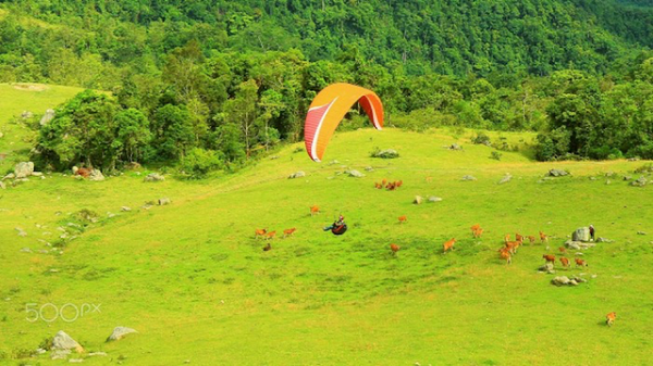 Cao nguyên Đồng Cao - nét đẹp hoang sơ mê hoặc lòng người