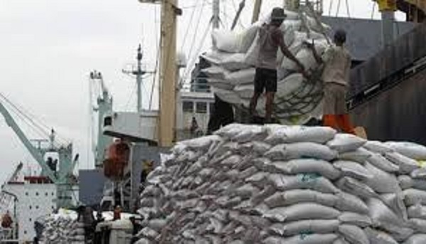 Cân đối nguồn vốn để cho vay kịp thời phục vụ kinh doanh XK gạo