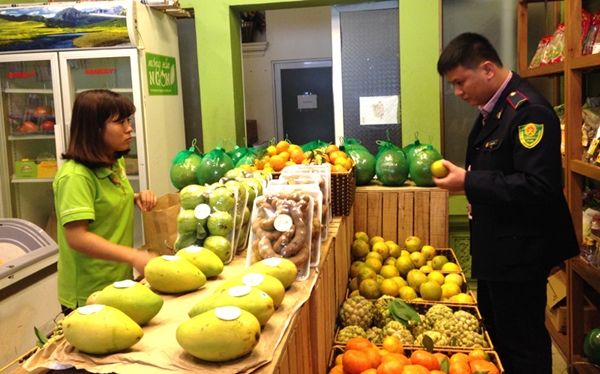 Chất lượng trái cây được cải thiện sau đề án quản lý cửa hàng kinh doanh trái cây - Hình 1