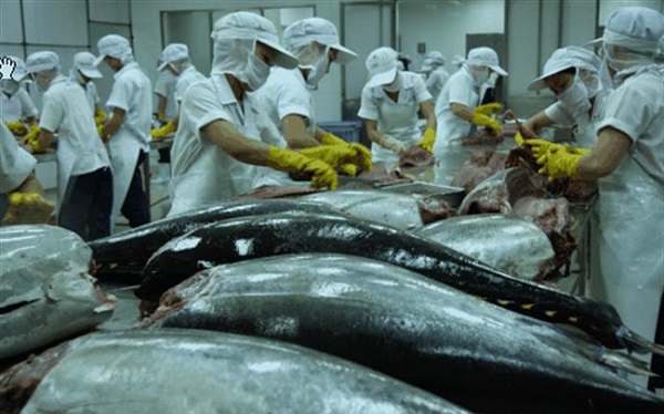 Việt Nam là nguồn cung cá ngừ lớn thứ 3 tại thị trường Ai Cập - Hình 1