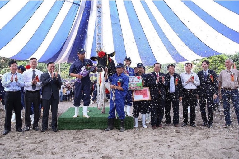 “Hoa hậu bò sữa” Mộc Châu 2018 – dấu ấn khó quên!