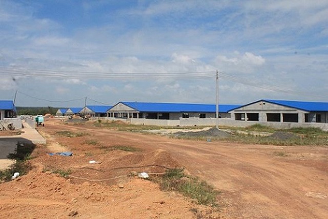 Đồng Nai: Buộc tháo dỡ trại chăn nuôi heo 1,4 ha không phép bên hồ Trị An - Hình 3