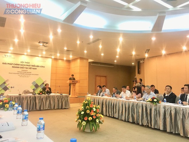 Cần giải pháp để ngành giấy Việt Nam phát triển bền vững - Hình 1