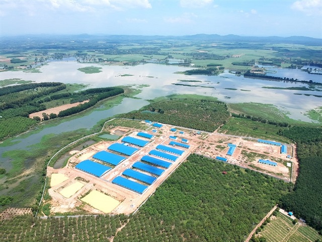 Đồng Nai: Buộc tháo dỡ trại chăn nuôi heo 1,4 ha không phép bên hồ Trị An - Hình 1