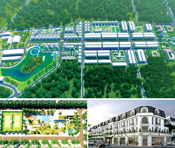 Sự phát triển của Công ty CP TM Thái Hưng: Tầm nhìn, bản lĩnh và vai trò của người lãnh đạo