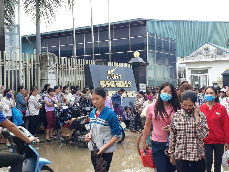 Thanh Hóa: Hơn 3.000 công nhân Công ty Ivory Việt Nam đình công yêu cầu đảm bảo quyền lợi - Hình 1