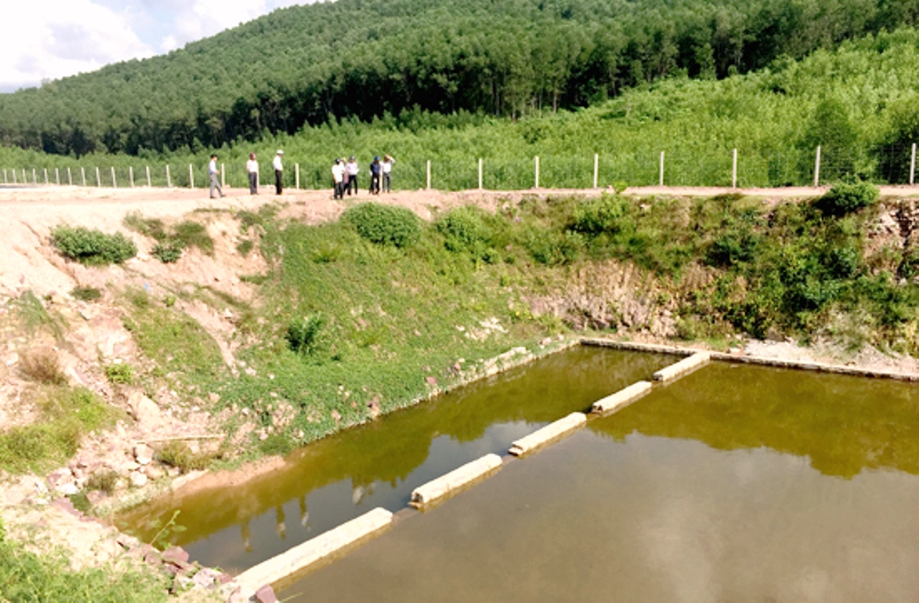 Quảng Nam: Huyện Nông Sơn đưa vào sử dụng khu xử lý chất thải rắn - Hình 2