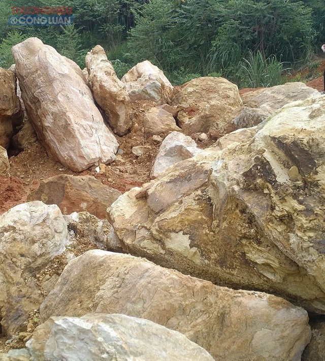 Vụ phá rừng phòng hộ khai thác đá quý (Phú Thọ): UBND tỉnh yêu cầu ngành chức năng kiểm tra, xử lý nghiêm - Hình 1