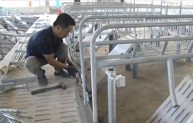 Đồng Nai: Tháo dỡ trang trại heo 'khủng' không phép bên hồ Trị An