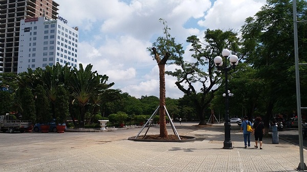Hải Phòng: Khôi phục cảnh quan quảng trường tượng đài Nữ tướng Lê Chân bằng việc trồng cây muồng ngủ - Hình 1