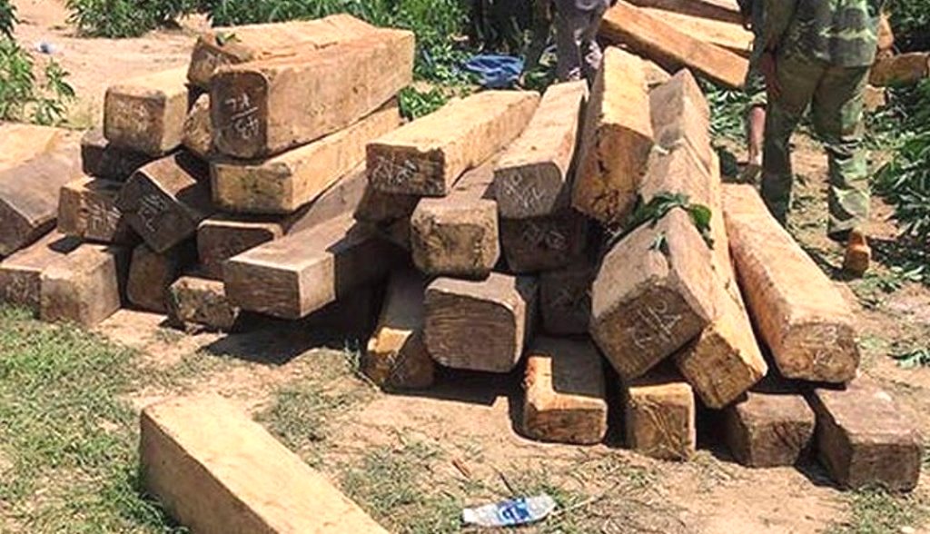 Gia Lai: Cướp súng kiểm lâm tại huyện Krông Pa