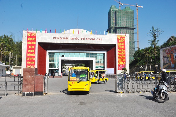 Hải quan Quảng Ninh tăng cường công tác phòng, chống ma túy - Hình 1