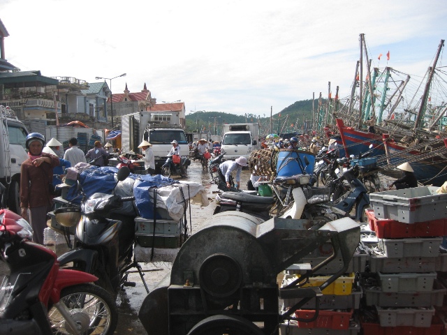 Hà Tĩnh: Tổng sản lượng thủy sản ước đạt hơn 2.200 tỷ đồng trong 10 tháng đầu năm