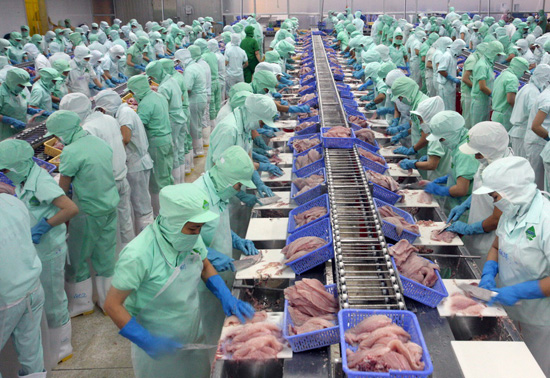 Minh Phú : Quý 3 năm 2018, doanh thu tăng 19,5% so với cùng kỳ năm ngoái