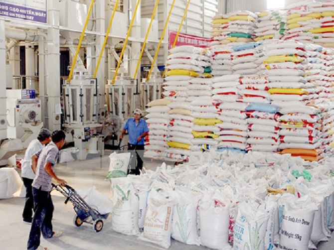 Đứng trước thách thức, thị trường gạo Việt cần xây dựng chiến lược phát triển bền vững