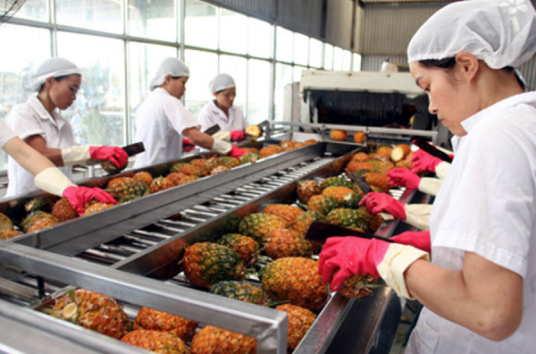 Giá trị xuất khẩu rau quả trong tháng 10 đạt 3,3 tỷ USD, tăng 15,5% so với cùng kỳ năm 2017.