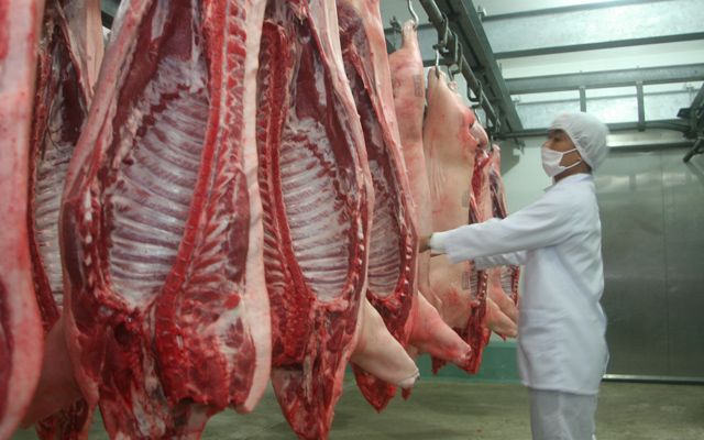 Miền Bắc sử dụng công nghệ quốc tế sản xuất và chế biến thịt lợn - Hình 1