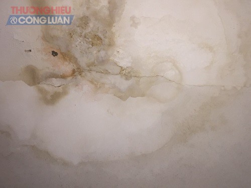Cần giải quyết thỏa đáng Dự án Nhà cao tầng (HUD3)60 Nguyễn Đức Cảnh thi công gây lún nứt nhà dân - Hình 2