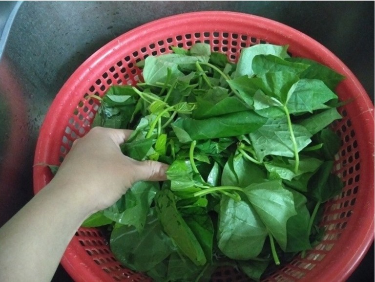 Những lưu ý khi lựa chọn và chế biến rau quả đảm bảo an toàn