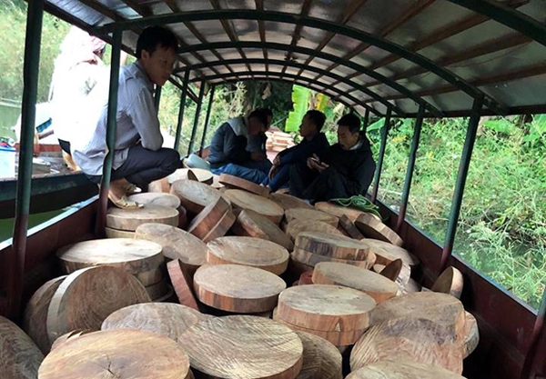 Điện Biên: Bắt giữ đối tượng vận chuyển trái phép 830 thớt gỗ nghiến trên sông Đà - Hình 1