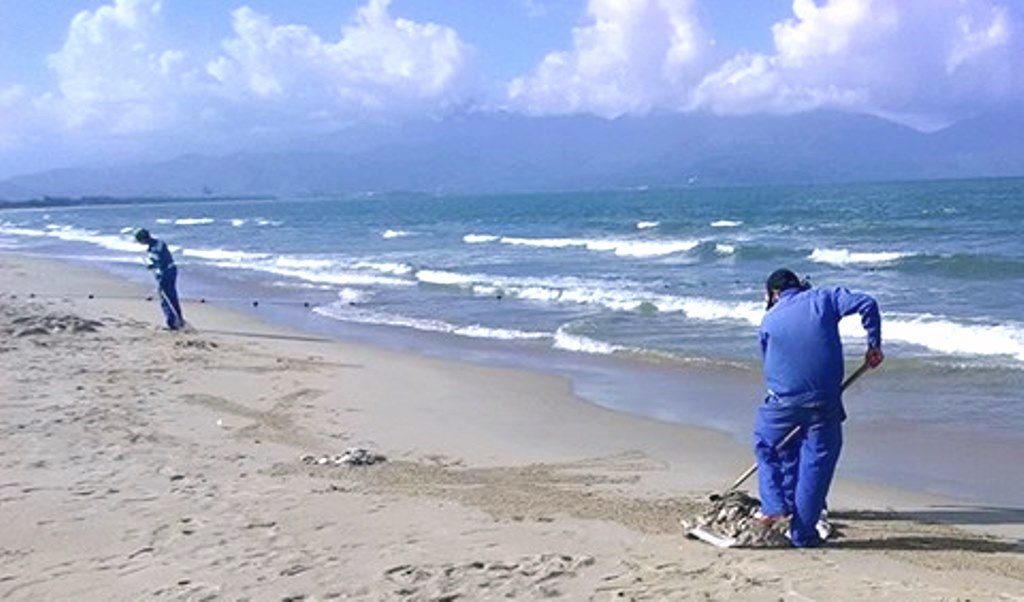 Đà Nẵng: Hàng loạt cá chết, trôi vào bãi biển du lịch Xuân Thiều - Hình 3