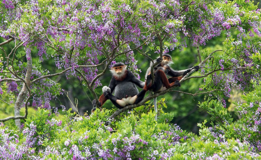 Trao giải cuộc thi ảnh đẹp “Tuyệt vời Đà Nẵng ơi”