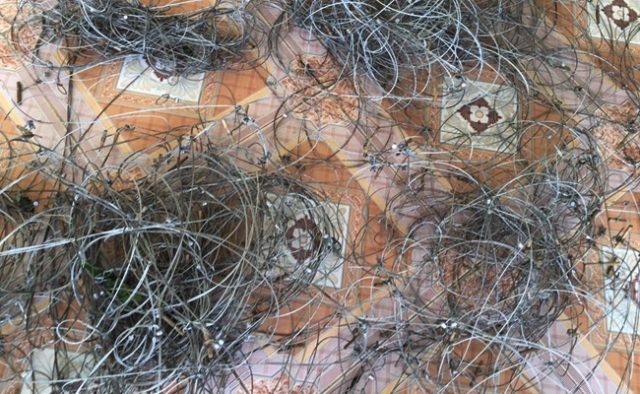 Hà Tĩnh: Một ngày phát hiện hơn 300 bẫy thú trên núi Hồng Lĩnh