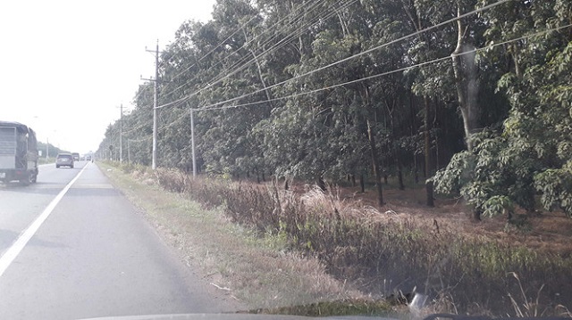 Đồng Nai: Khởi động dự án bồi thường, hỗ trợ tái định cư cho sân bay Long Thành