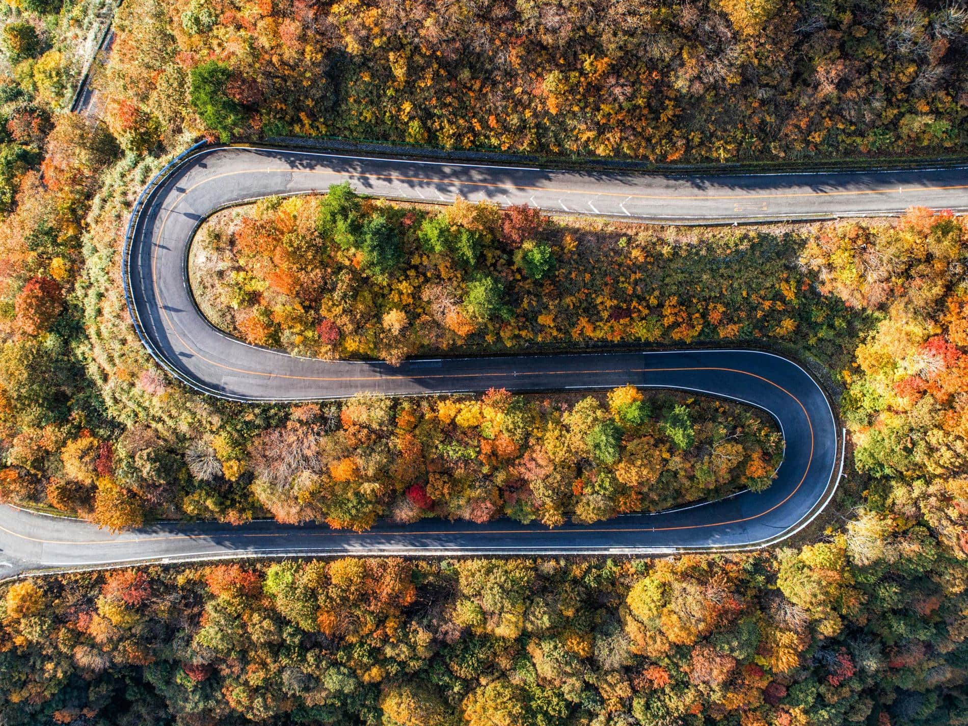 Sắc thu sống động từ khắp nơi trên thế giới