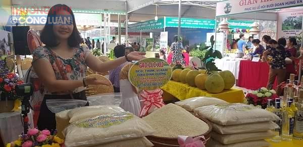 Phú Thọ: Tưng bừng Lễ hội bưởi Đoan Hùng, Hội chợ nông sản tỉnh 2018 - Hình 3