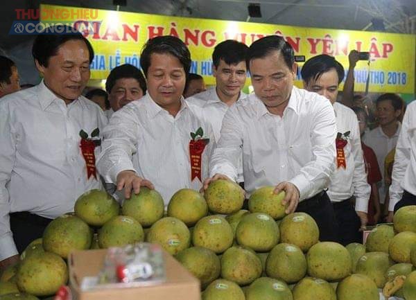 Phú Thọ: Tưng bừng Lễ hội bưởi Đoan Hùng, Hội chợ nông sản tỉnh 2018 - Hình 2