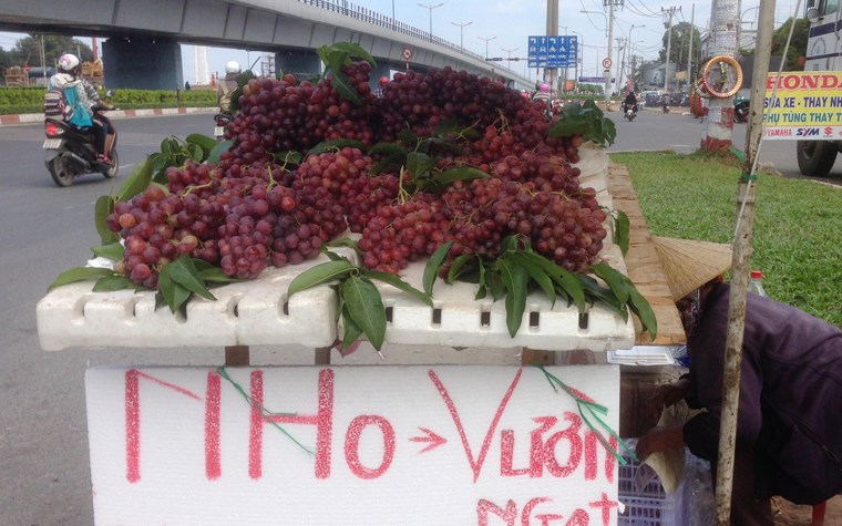 Nông sản nước ngoài “đột lốt” hàng Việt khó xử lý - Hình 1