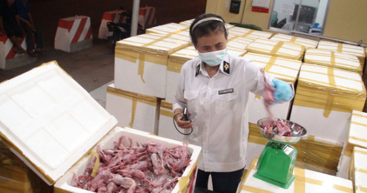 TP.HCM: Phát hiện xe tải chở 3 tấn chim cút đông lạnh bốc mùi