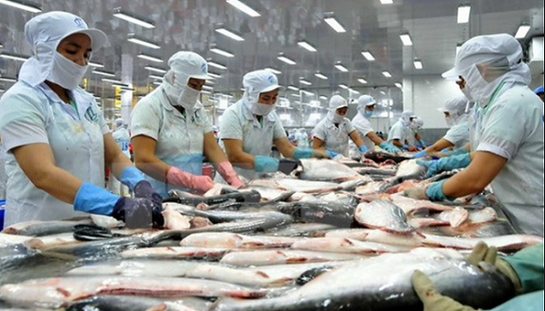 Trung Quốc đẩy mạnh nuôi cá tra, doanh nghiệp Việt Nam đứng trước thách thức lớn - Hình 1