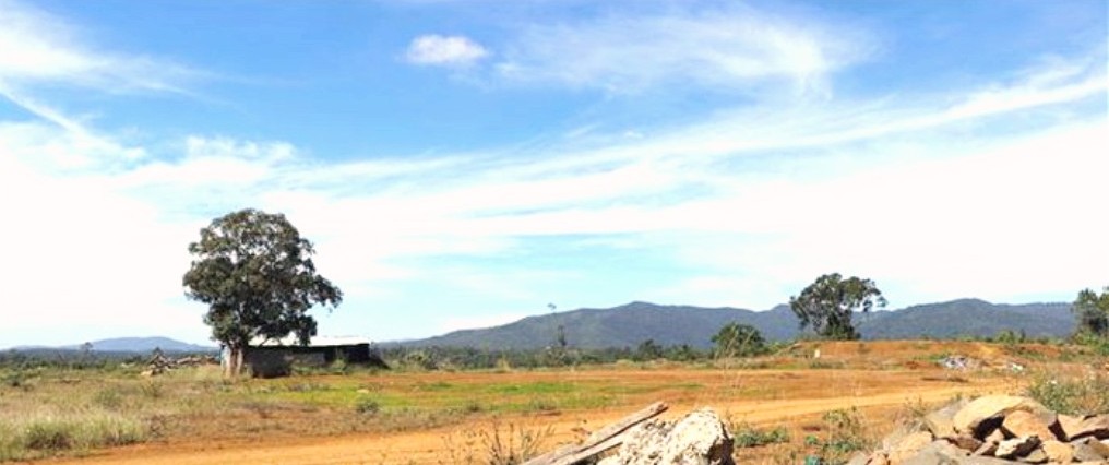 Kon Tum: Dự án không hiệu quả hàng nghìn hécta rừng có nguy cơ bị xóa sổ?