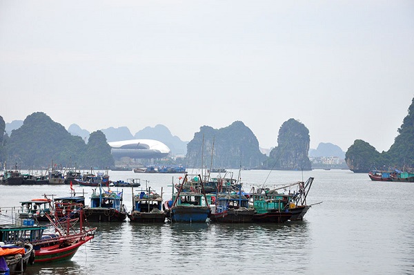 Đẩy mạnh công tác bảo vệ và phát triển nguồn lợi thủy sản tại Quảng Ninh - Hình 1