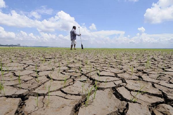 Thủ tướng Nguyễn Xuân Phúc yêu cầu tập trung ứng phó với hiện tượng El Nino - Hình 1