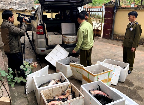 Lạng Sơn: Bắt giữ trên 400 kg cá tầm và nhiều mỹ phẩm nhập lâu - Hình 1