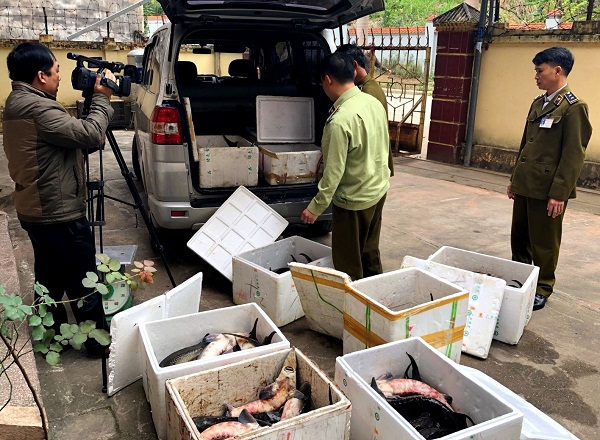 Lạng Sơn: Bắt giữ trên 400 kg cá tầm và nhiều mỹ phẩm nhập lâu
