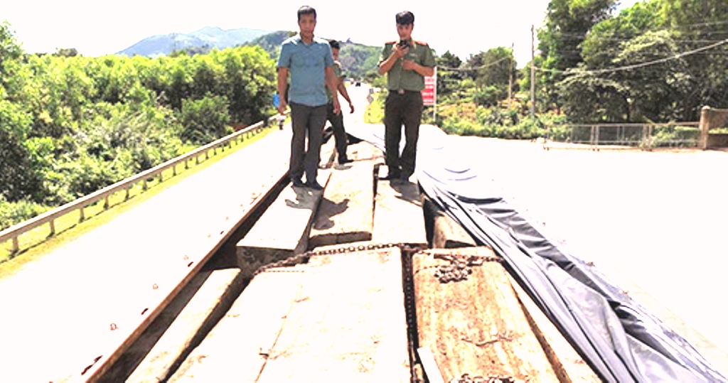 Đắk Lắk: Bắt 2 xe tải chở gỗ lậu tổng khối lượng hơn 60 m3 - Hình 1