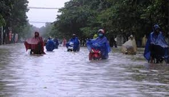 Bão số 9 đổ bộ: Từ 12h ngày hôm nay, học sinh TP. HCM được nghỉ học