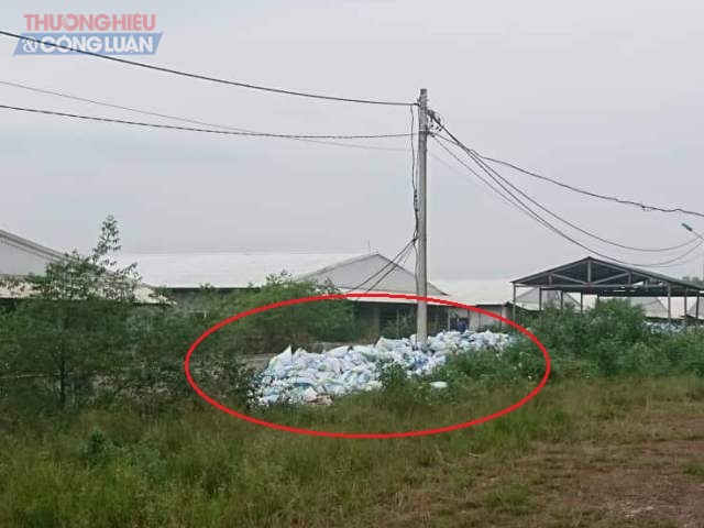 Hà Tĩnh: Dân bức xúc vì ô nhiễm từ trại lợn Công ty CP chăn nuôi Mitraco - Hình 6
